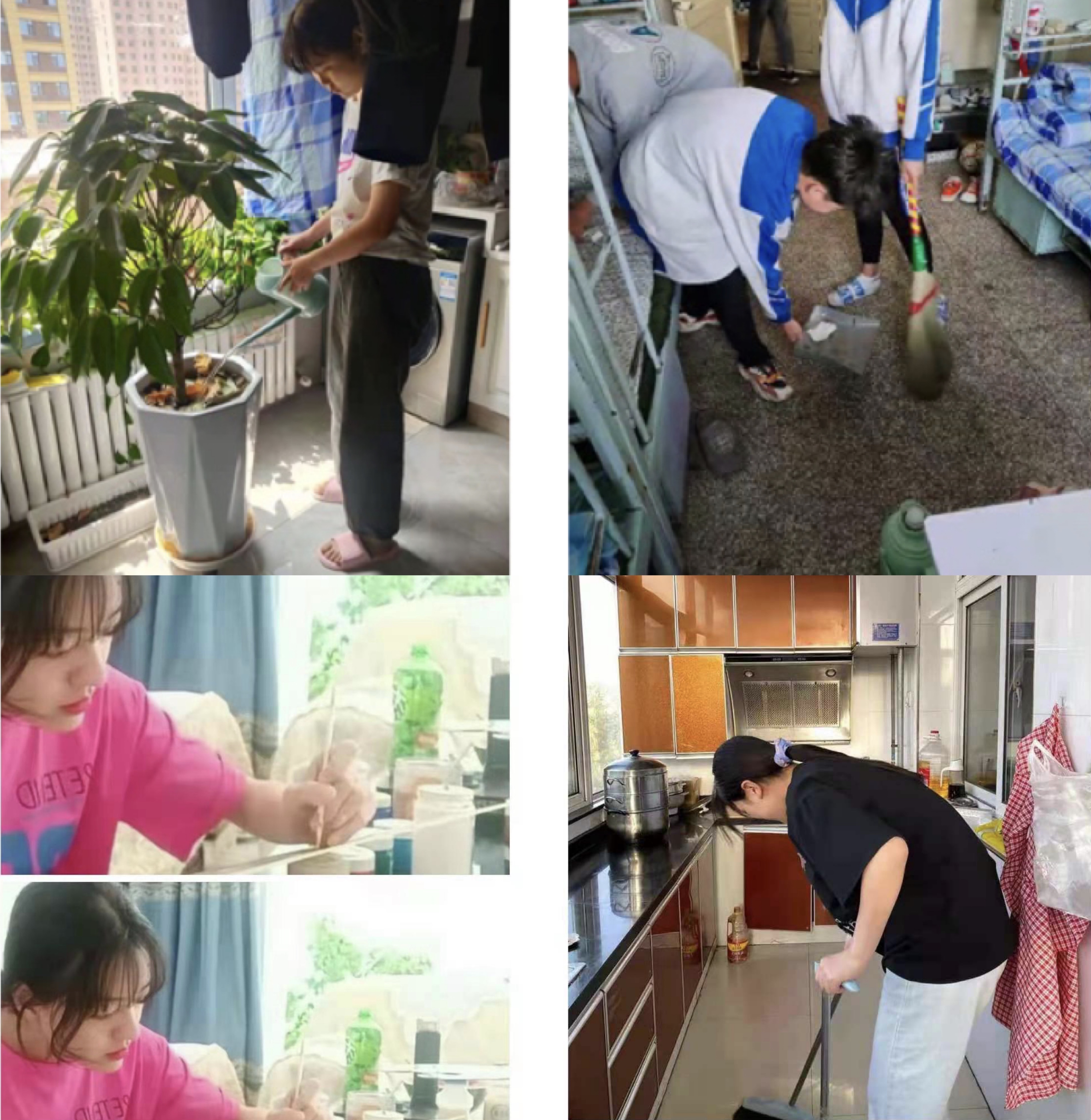 学生劳动照片2.jpg 学生劳动照片2.jpg