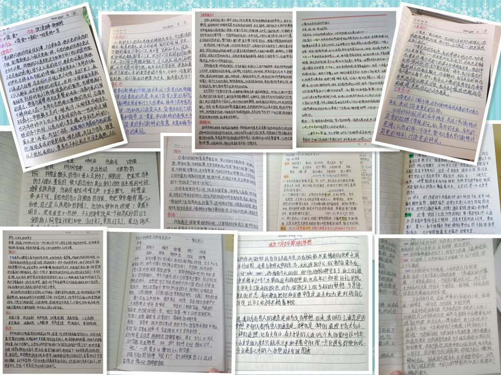 图片3.jpg 图片3.jpg